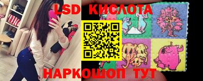 стафф Будённовск